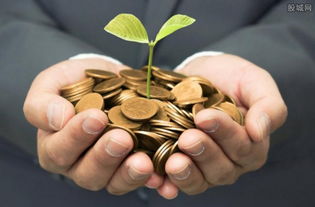 零錢寶有哪些基金產品 零錢寶收益是多少