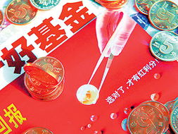 投資者看重避險 貨幣基金再度現身