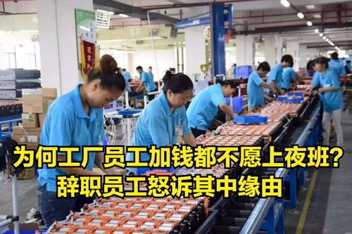 為何工廠員工不愿上夜班 連加錢都不管用 辭職員工怒訴其中緣由